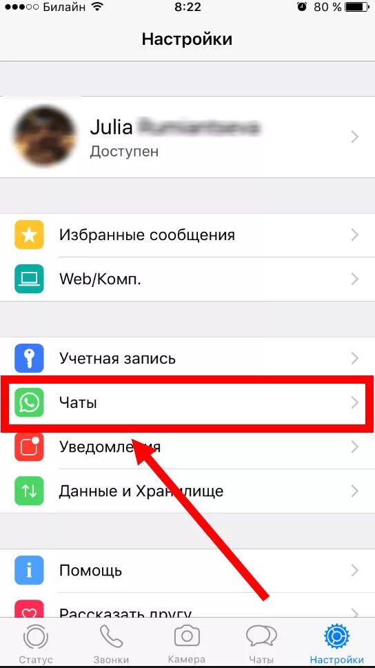 Как убрать статус на айфоне. Статус в ватсап на айфоне. Как поменять фото в ватсапе на айфоне. Как прочитать удаленные сообщения в ватсапе на айфоне.