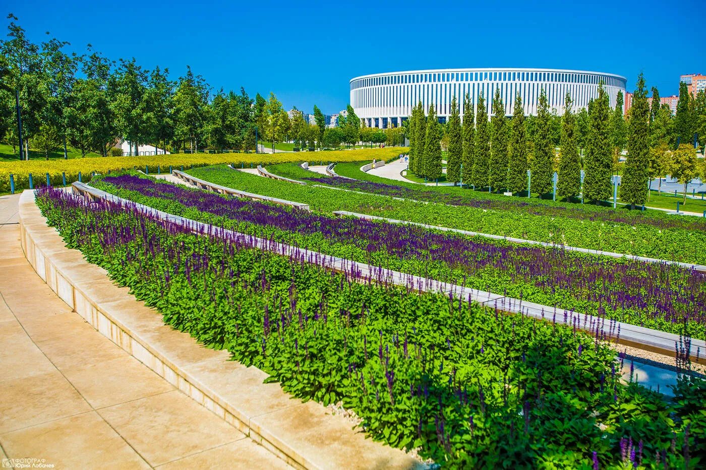 Парк голицына в краснодаре. Голицынский парк в краснодаре. Парк галицкого. Краснодарский край парк галицкого. Парк голицыно краснодар.