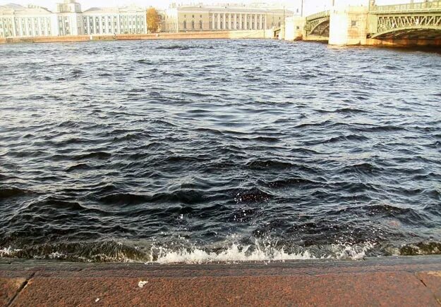 Черная Невская вода. Невскую воду. Невская вода крупным планом фото.