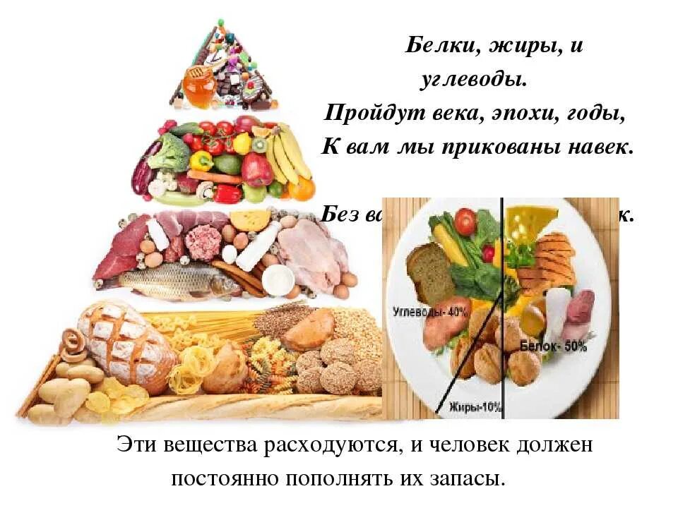 Белков и углеводов а также. Схема питания белки жиры углеводы. Жиры и углеводы. Питание белки жиры углеводы. Белок жиры и углеводы.