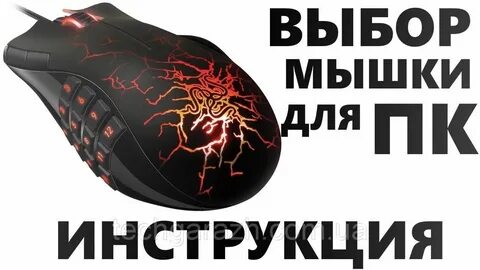 Мышь выбор