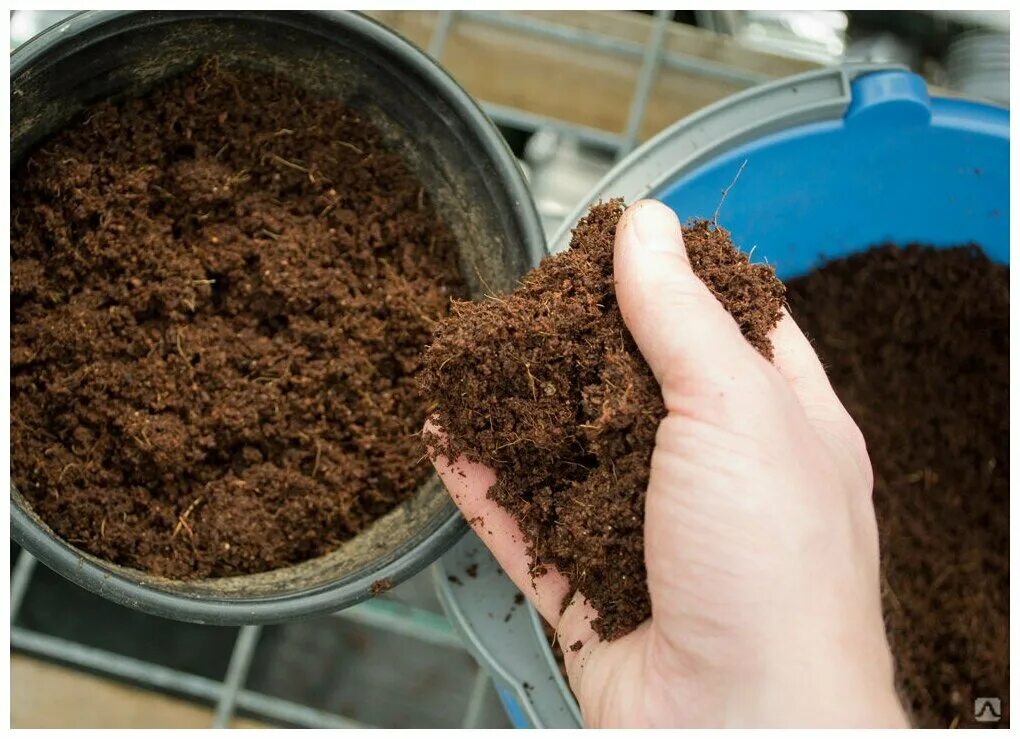 Перлит субстрат. Почвенный субстрат. Верховой сфагновый торф. Грунты и субстраты. Субстрат.