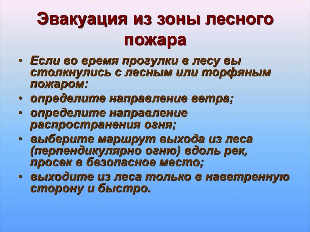 Эвакуация из зоны лесного пожара. Эвакуация из зоны пожара в лесу. Выход из зоны лесного пожара. Эвакуация при Лесном пожаре.