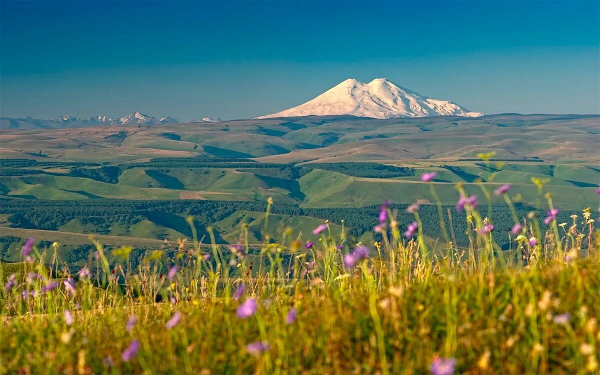 Гора бык ставропольский край. Гора джамараклитебе архыз. Кавказская ставропольский край. Горы кавказа бештау. Кавказская ставропольский край.