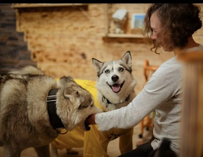 Верность тв спасение животных. Верность тв спасение животных. Верность тв спасение животных. Верность тв спасение животных. Верность тв спасение животных.