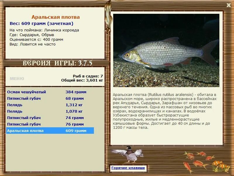 Тарань карповые. Плотва вес. Нормы веса плотвы первого года. Полупроходные рыбы. Аральское море какие рыбы обитают.