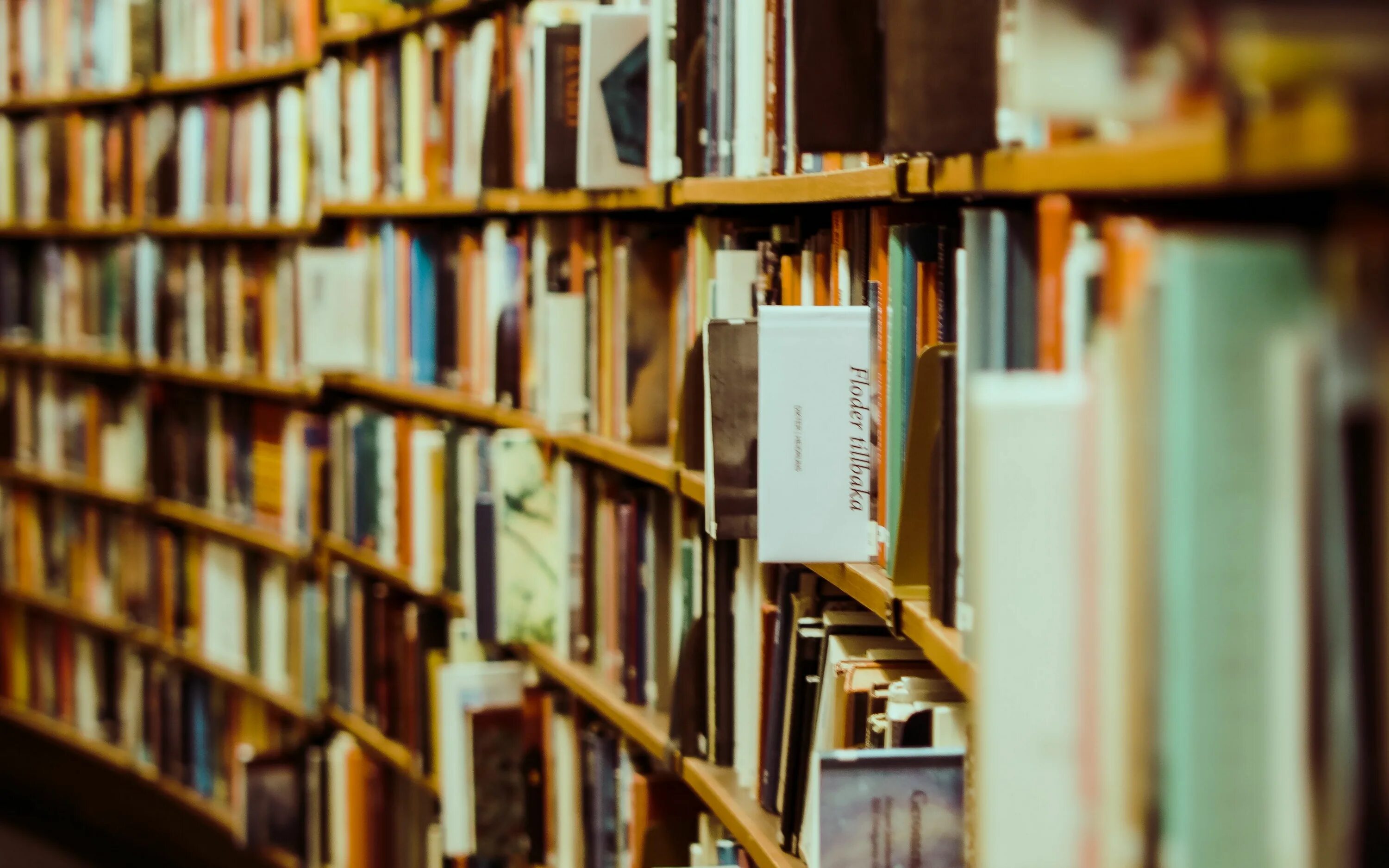 Тема library. Книга библиотека. Красивые полки для книг. Книга библиотека. Красивая библиотека.