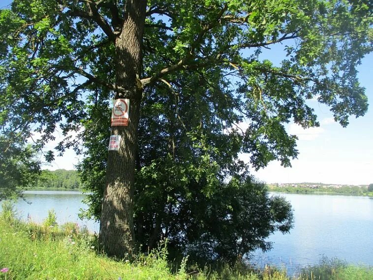 Железногорск Курская область утонули. Погарщина Курская область. Железногорск утонул мужчина. Погарщина Полтавская область.