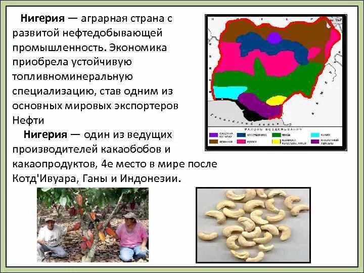 Отрасли специализации промышленности Нигерии. Экономика Нигерии кратко. Отрасли специализации нигер. Специализация производства Нигерии. Экономическое развитие нигера