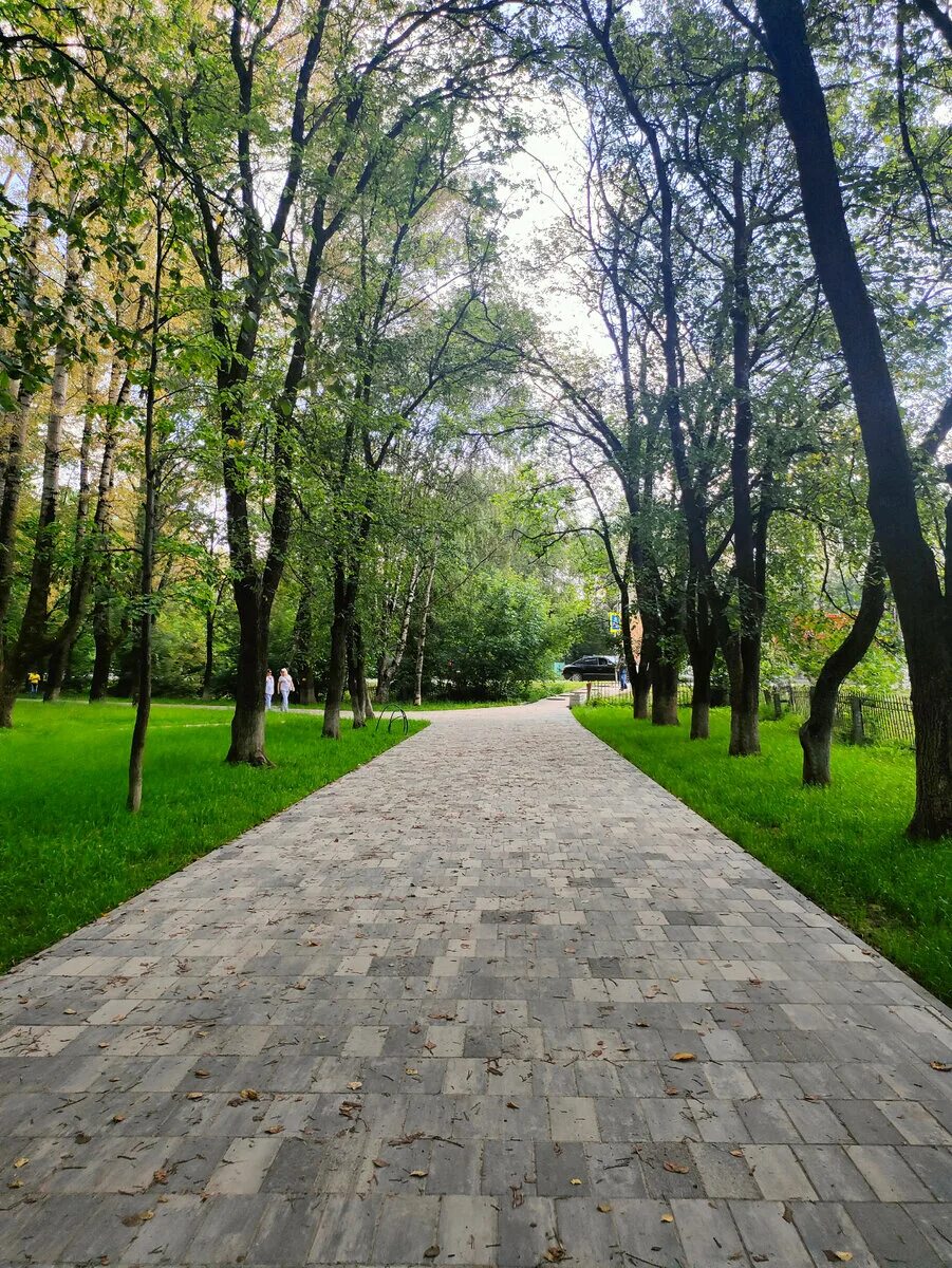 Вологда.РФ - Новости Вологды