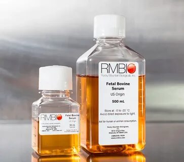 2hollis serum bank