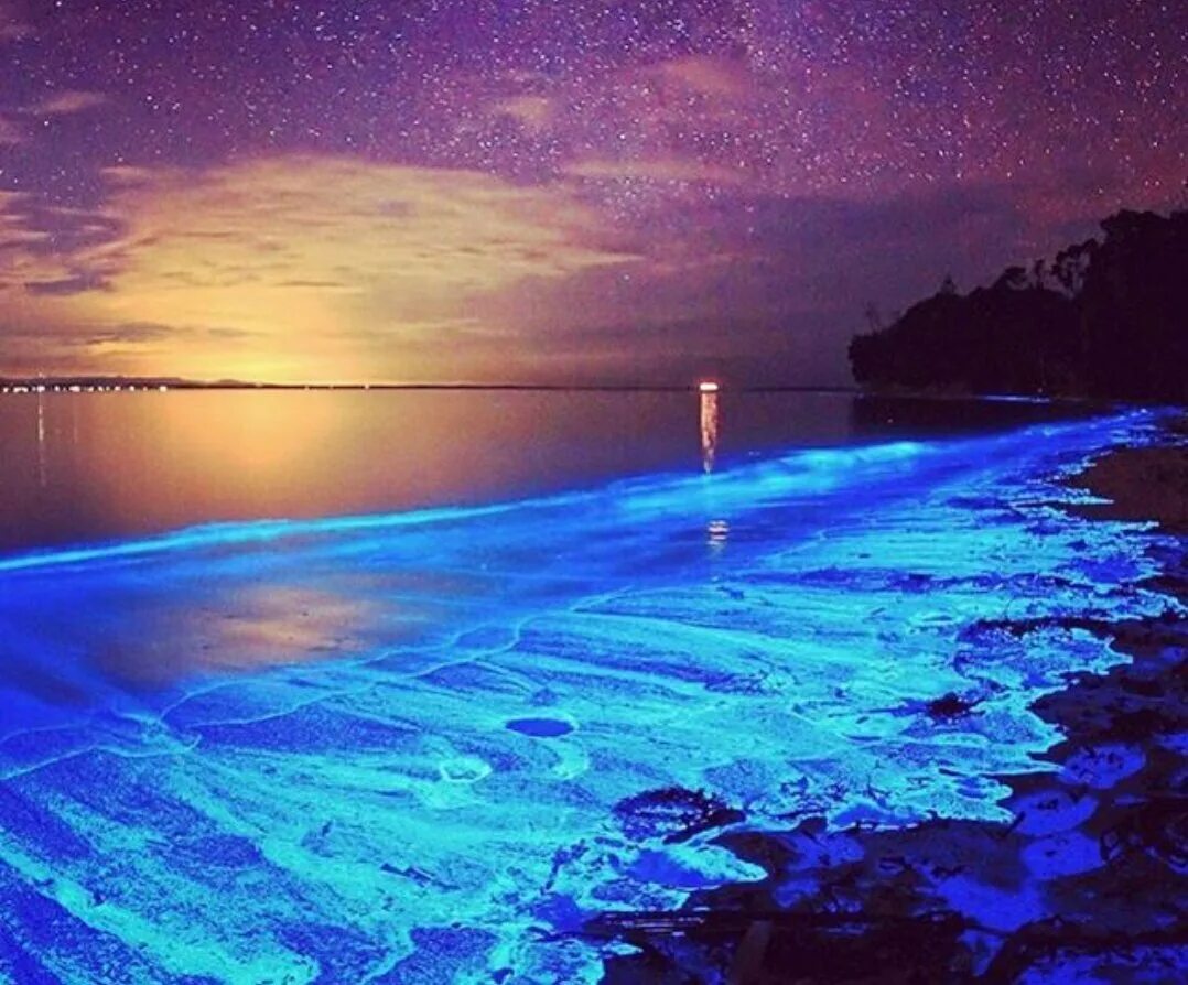 Светящееся море почему светится. Остров Ваадху Мальдивы. Мальдивы остров Ваадху море. Пляж Ваадху Мальдивы. Остров Ваадху Мальдивы светящийся пляж.