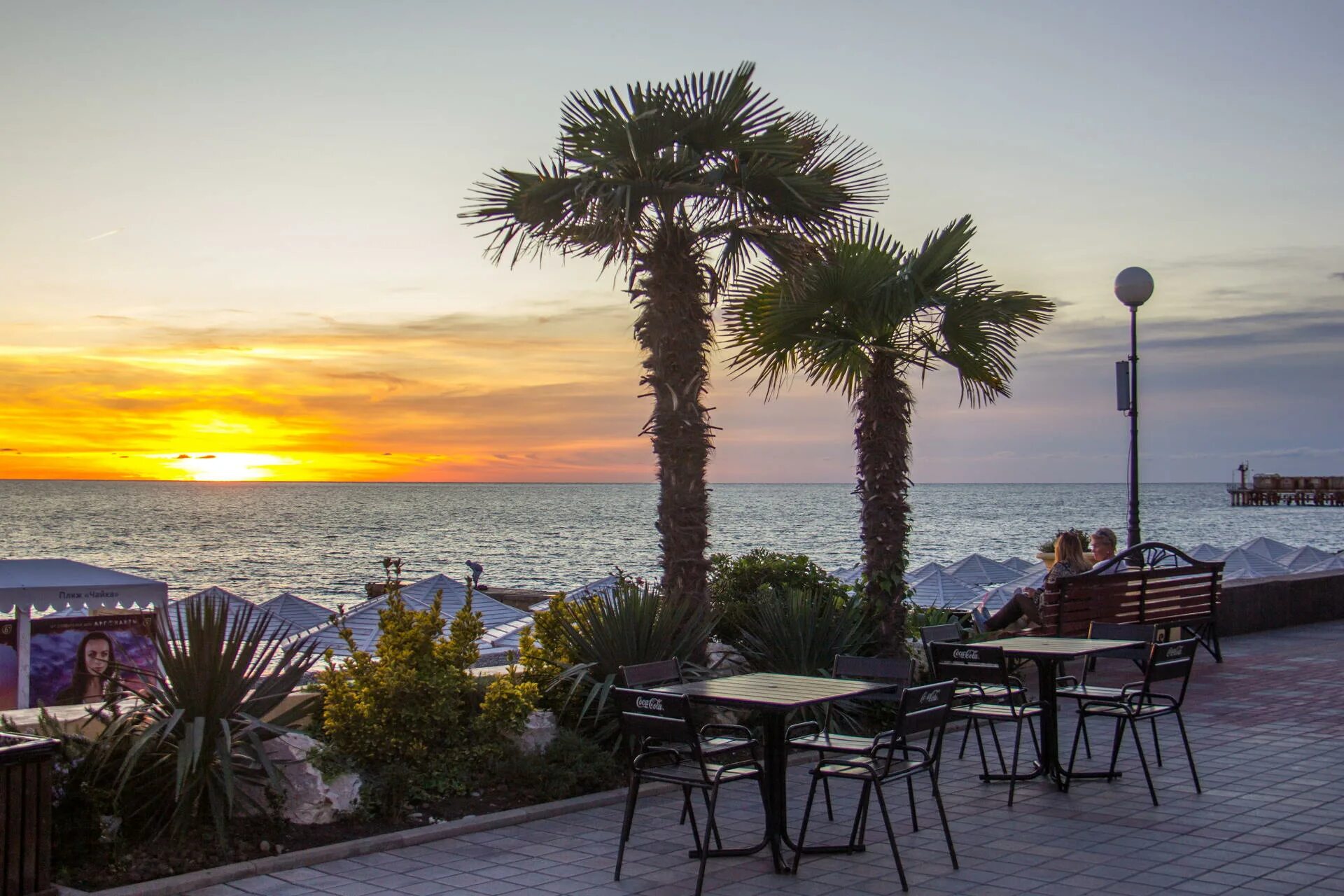 сочи море набережная. пляж сириус адлер набережная. приморская набережная сочи. сочи пальмы имеретинка.
