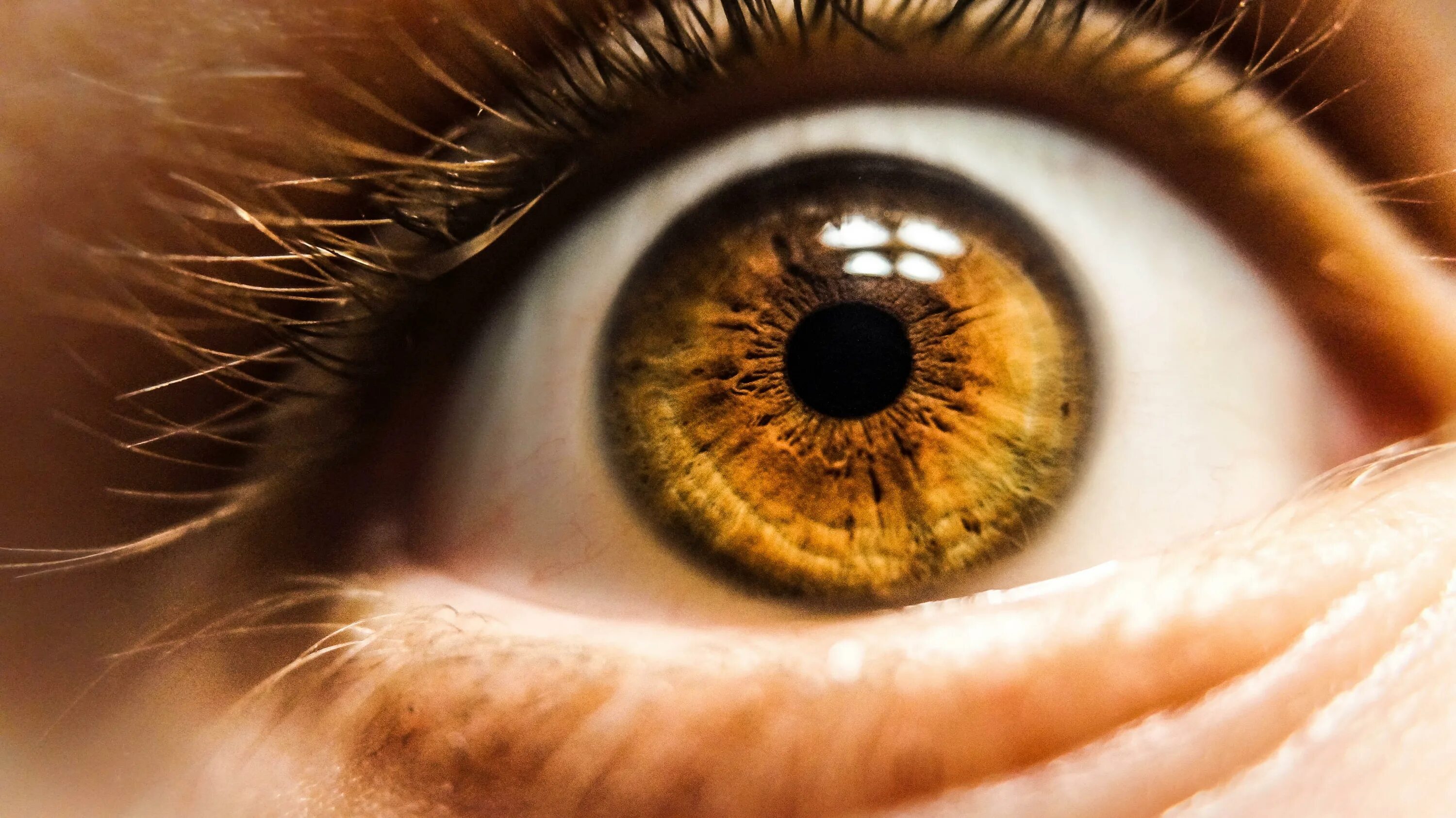 Мутно желтые глаза. Глаз человека. Кареглазые люди. Имитация глаза. Человеческий глаз фото крупным планом.