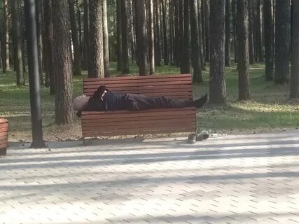 Безобразие в детском парке!!!! Там гуляют дети Доска позора/почета Ухта