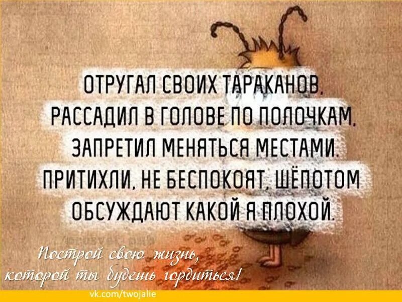 Тараканы в голове это. Фразы про тараканов в голове. высказывания о тараканах в голове. цитаты про тараканов в голове. тараканы в голове.