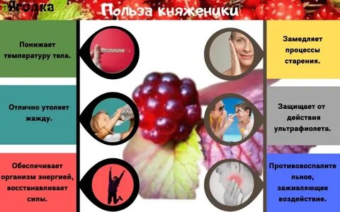 Княженика польза