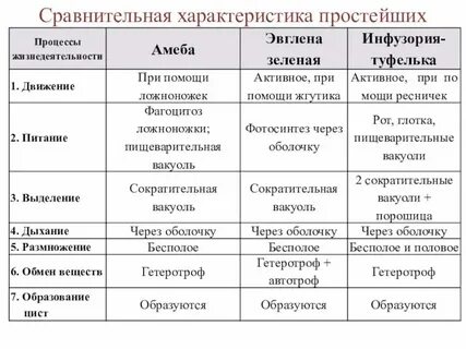 Таблица характеристика простейших 8 класс