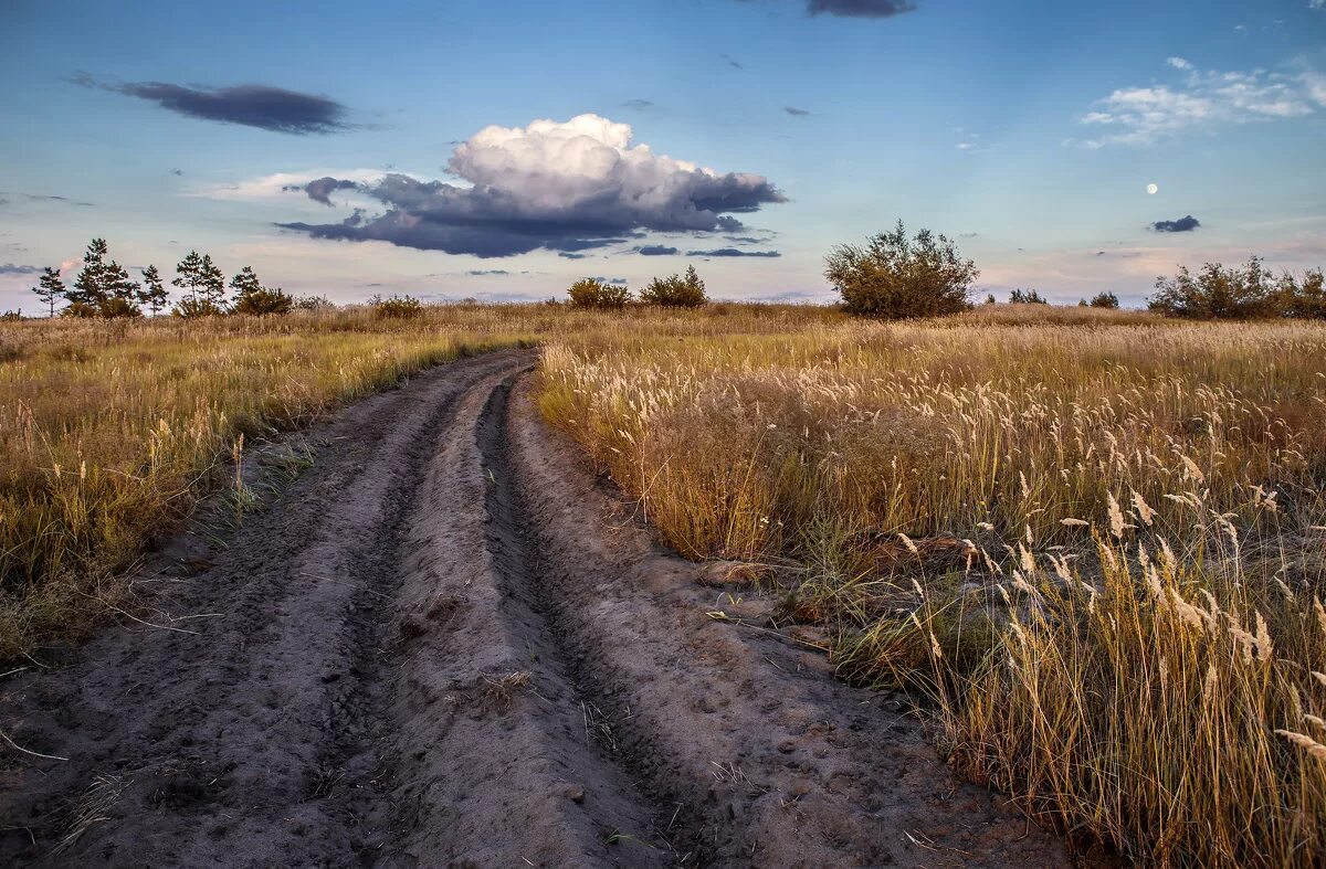 туман тамань пустыня внемлет