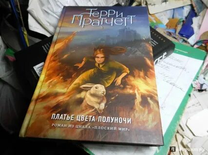 Читать мир полуночи