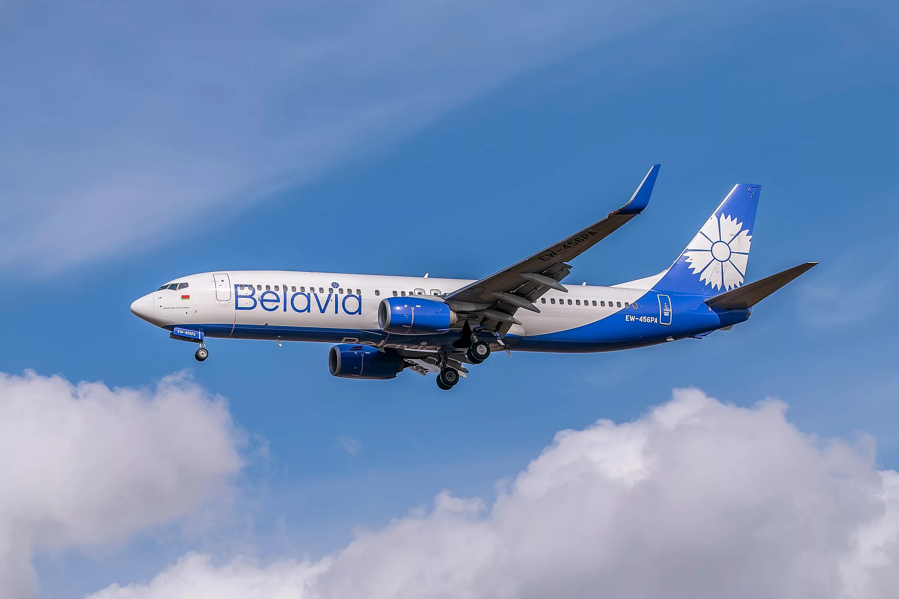 Belavia airlines. Авиакомпания Белавиа самолеты. Боинг 737 Белавиа. Белорусская авиакомпания Белавиа. Белавиа самолет в Минске.