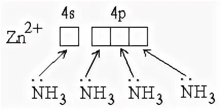 Zn nh. ZN 2+ строение. Образование связей в комплексных соединениях. Электронные схемы строения комплексного Иона [ZN (nh3)4]. Схема образования ZN.