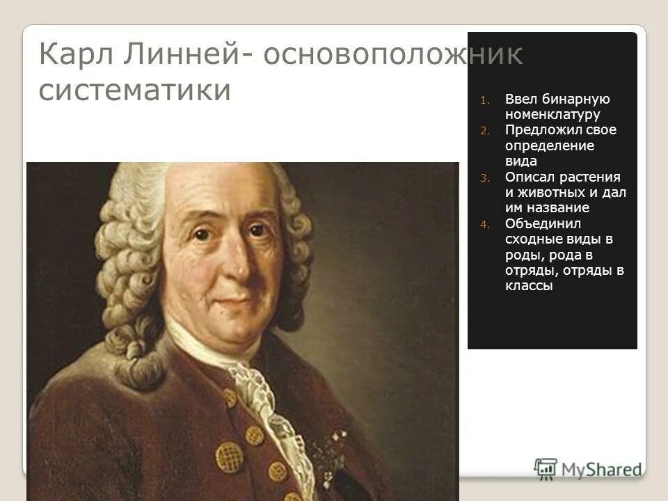 Великие учёные зоологи. Вклад карла линнея в биологию. Карл линней основоположник систематики растений и животных. Основоположник систематики растений и животных. Основоположник систематики растений и животных.