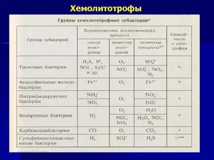 Источники энергии бактерий