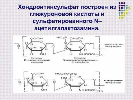 Роль глюкуроновой кислоты