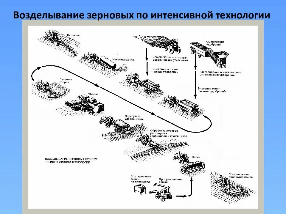 Комбинированные почвообрабатывающие агрегаты презентация. Схема посевного почвообрабатывающего агрегата. Зерновой грузоформирующий узел. Рисунок система машин для возделывания пшеницы.