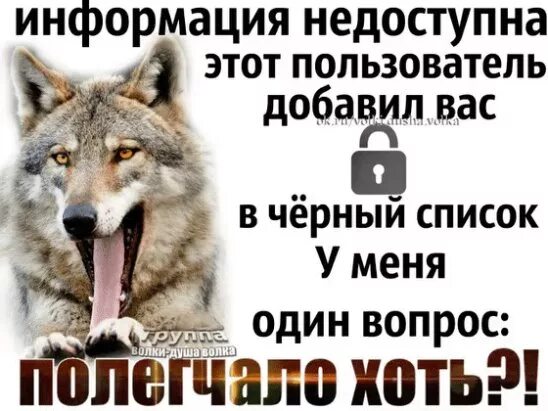 Любое информация о пользователе