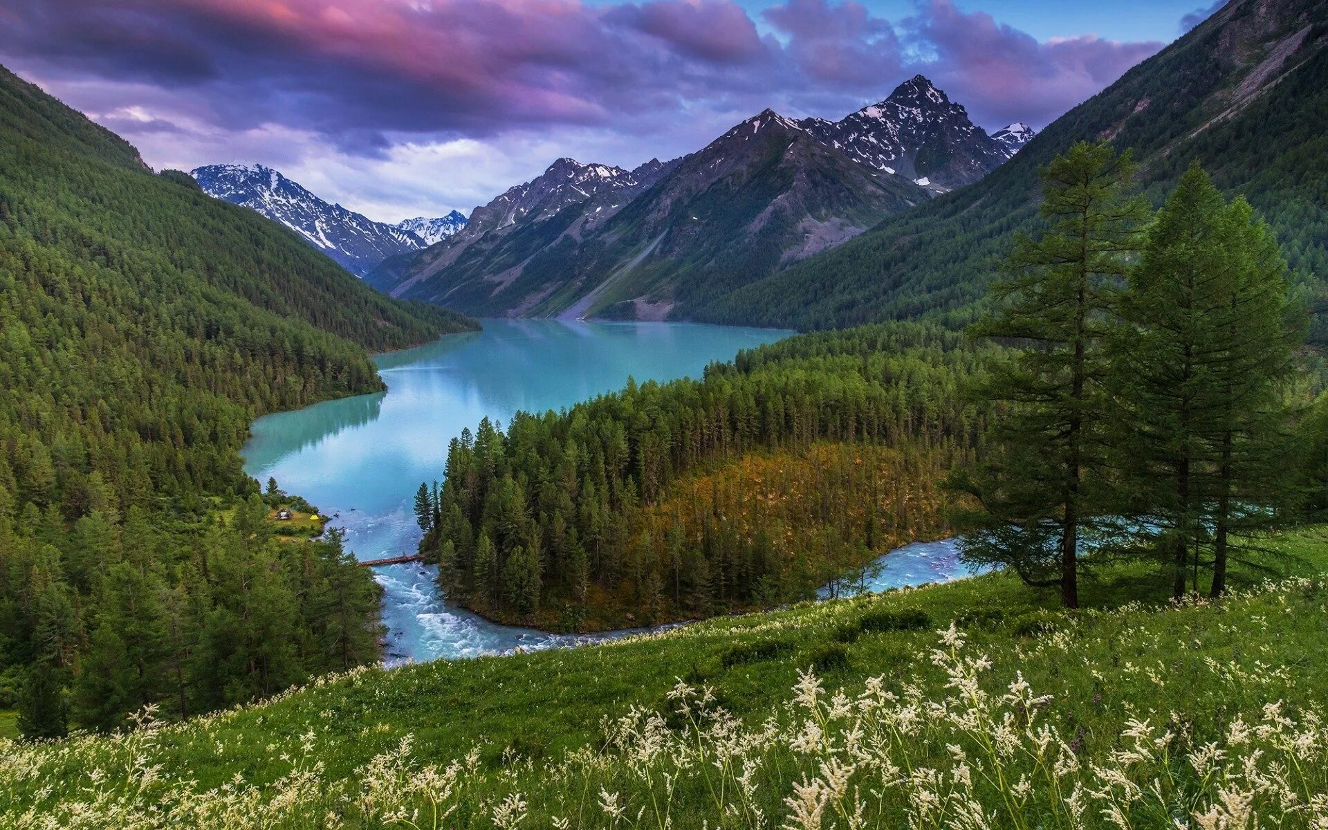Природа 7 класса