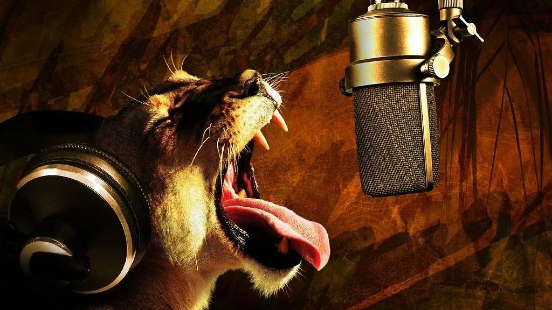 Кот поет в микрофон. Животные с микрофоном. Звери с микрофоном. Поющие животные. Животные поют в микрофон.