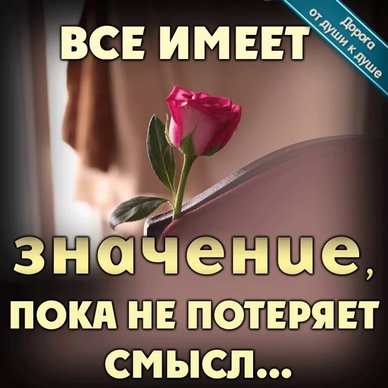 жизнь теряет всякий смысл. потерялся смысл жизни. любви нет цитаты. цитаты о потере любимого. когда теряешь смысл.