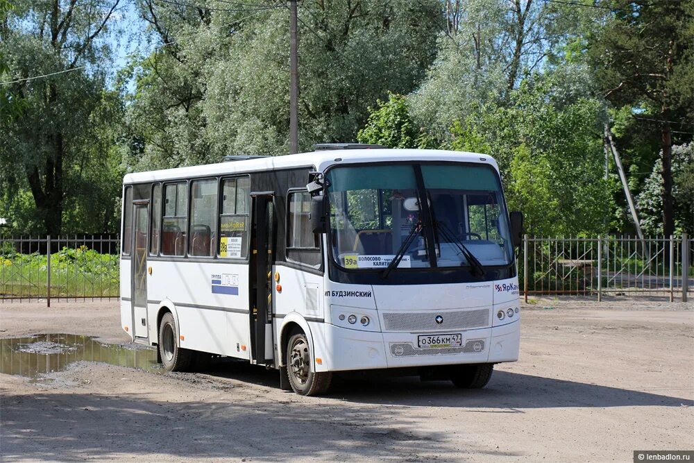 автобус гатчина волосово 524. расписание автобуса бегуница волосово. расписание автобусов волосово санкт-петербург. 41 автобус волосово. расписание автобусов волосово.
