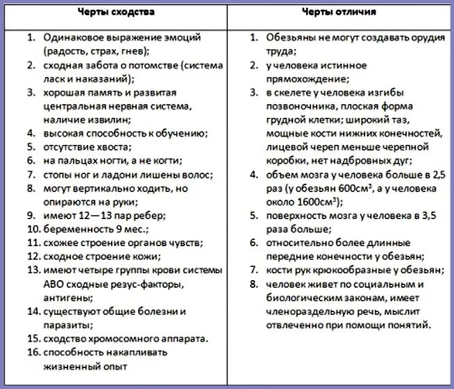 Схожести и различия. Таблица сходства и различия человека и животного. Сходства и различия человека и животного биология 9 класс. Сходства человека и человекообразных обезьян таблица 11 класс. Сходства и различия человека и человекообразных обезьян таблица.