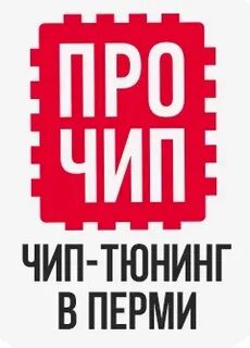 Чип пермь