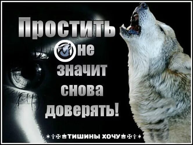 прощать не сложно сложно заново поверить картинки. не хочу доверять снова поверить снова. не хочу доверять снова поверить снова. сложно верить людям. волк не верь никому.