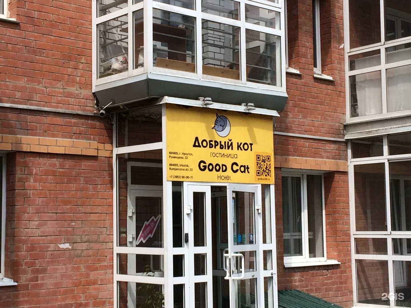 Добрый кот гостиница иркутск. Добрый кот гостиница иркутск. Добрый кот гостиница иркутск. Румянцева 24 иркутск. Добрый кот иркутск.