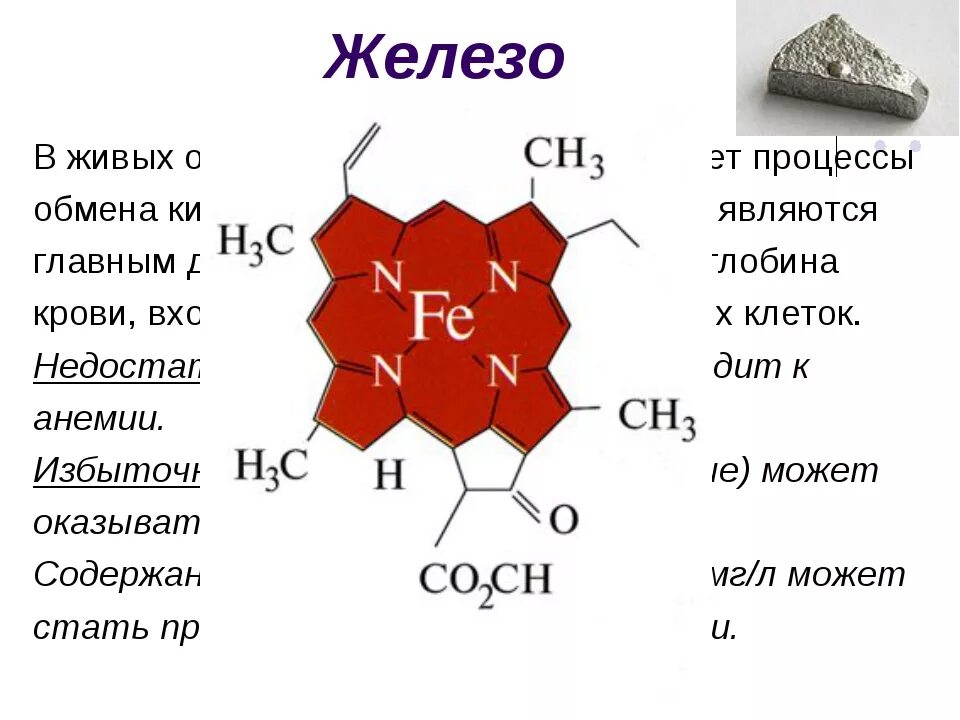 Железо в роли элемента. Железо в организме. Элемент железо в организме человека. Железы организма человека. Железо в живых организмах.
