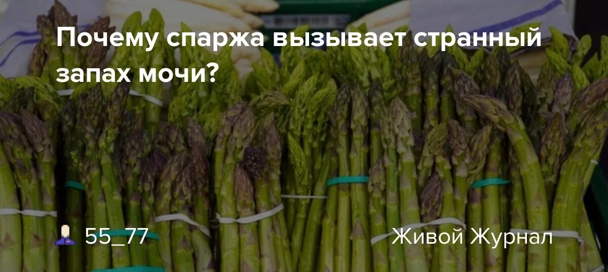 Спаржа свежая. Аспарагус еда. После спаржи. После спаржи. После спаржи.