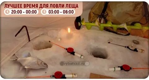 Поймает какое время