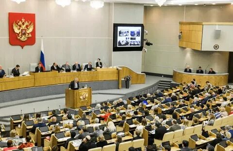 Практика в государственной думе