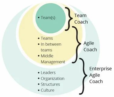 Ardor agile pro