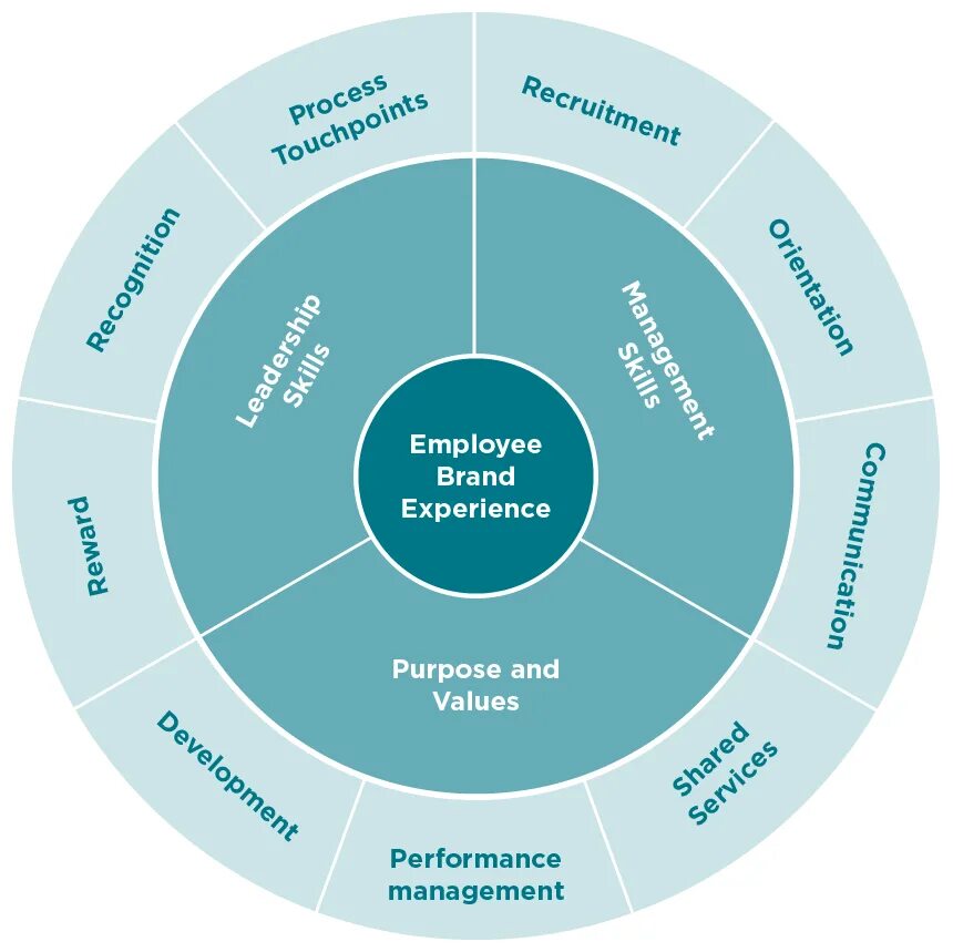 Employee experience Management. Employee experience Design что это. Картинка experience. Experience название. Quality experience