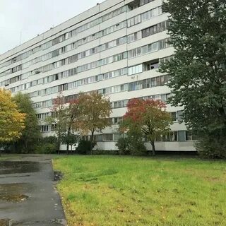 Культуры 7 корп 2