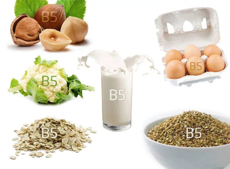 Источник b6. Витамин b5 пантотеновая кислота. Витамин b5 источники витамина. Пантотеновая кислота в5 источники. Витамин в5 пантотеновая кислота в продуктах.