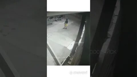 Выборы новороссийск