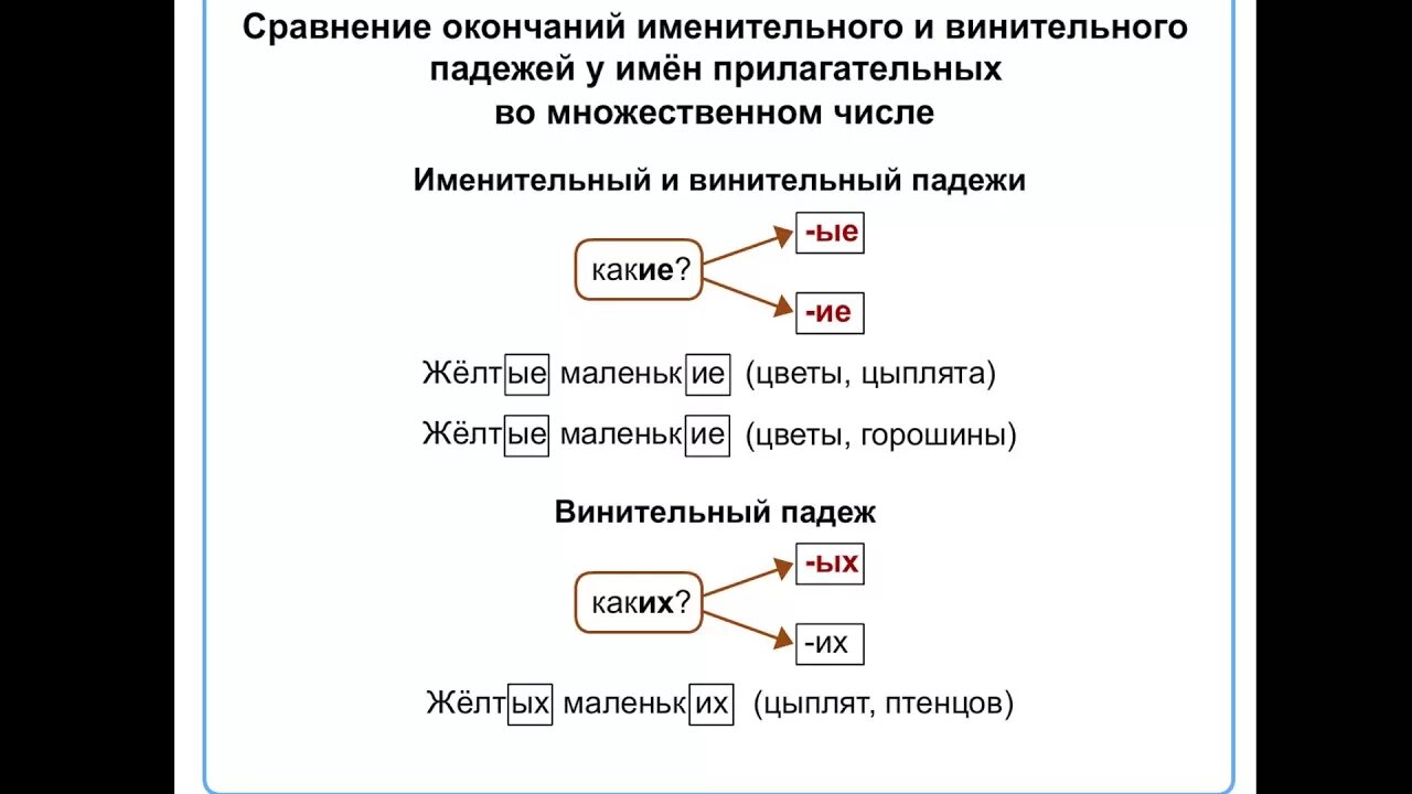 Как отличить именительный падеж. Винительный падеж имен прилагательных во множественном числе. Именительный и винительный падежи имен прилагательных. Именительный и винительный падежи. Именительный и винительный падежи во множественном числе.