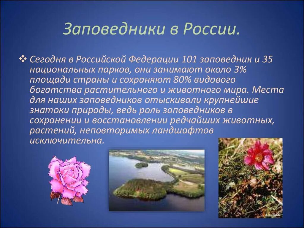 Проект заповедники России. Доклад о заповеднике. Заповедники России доклад. Заповедники презентация. Природный заповедник россии написать